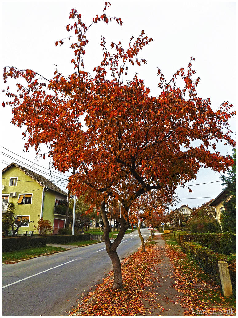Rusty tree by ByteRat on DeviantArt