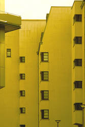 yellow_house