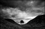 standing in the cup of creation by LawrenceCornellPhoto