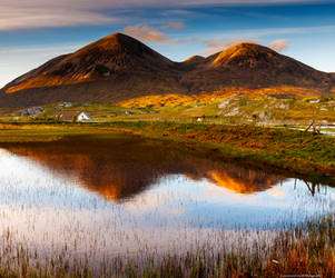 Soaking up the evening glow by LawrenceCornellPhoto