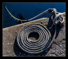 Neatly coiled