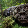 If you go down to the woods today........