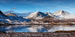 Winter's beauty