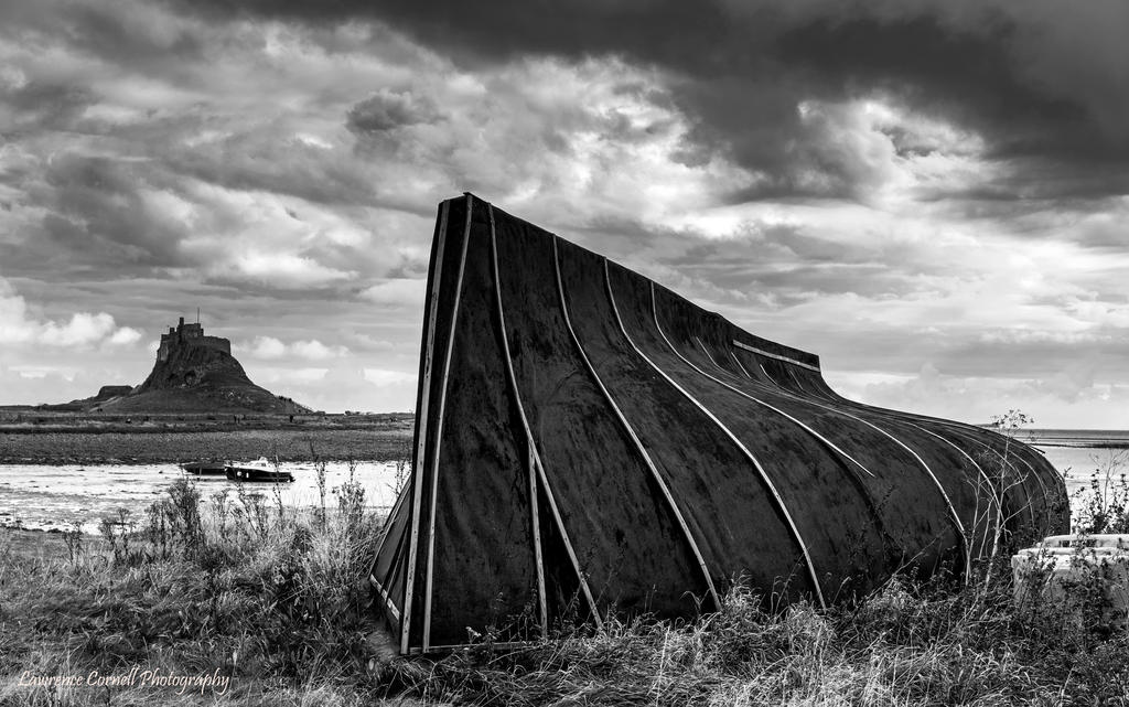 Wishing for black and white bliss by LawrenceCornellPhoto Wishing for black and white bliss by LawrenceCornellPhoto