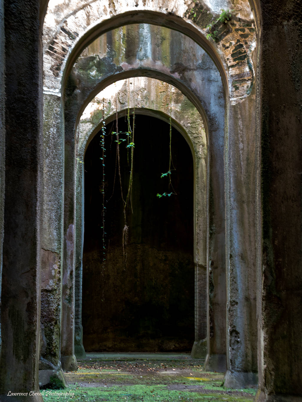 Decorating that cavern by LawrenceCornellPhoto