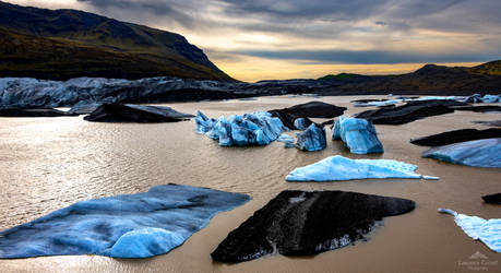 A placid pool