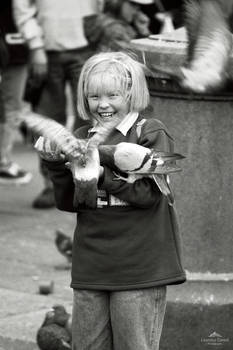 A bird in the hand