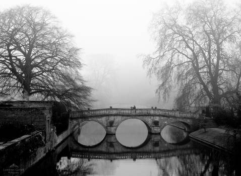 A foggy day in Cambridge.