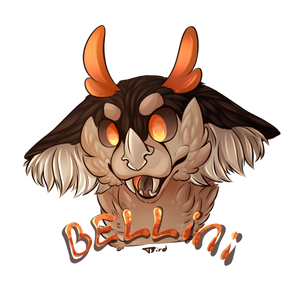 Meet Bellini, The Weird Ol' Creature!