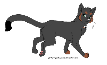 SOOT - Adopted from brambleclaw59
