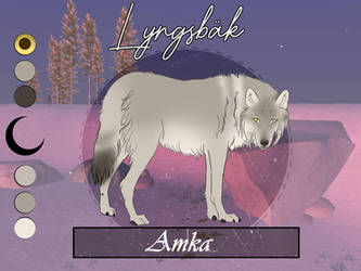 [LYN] Amka