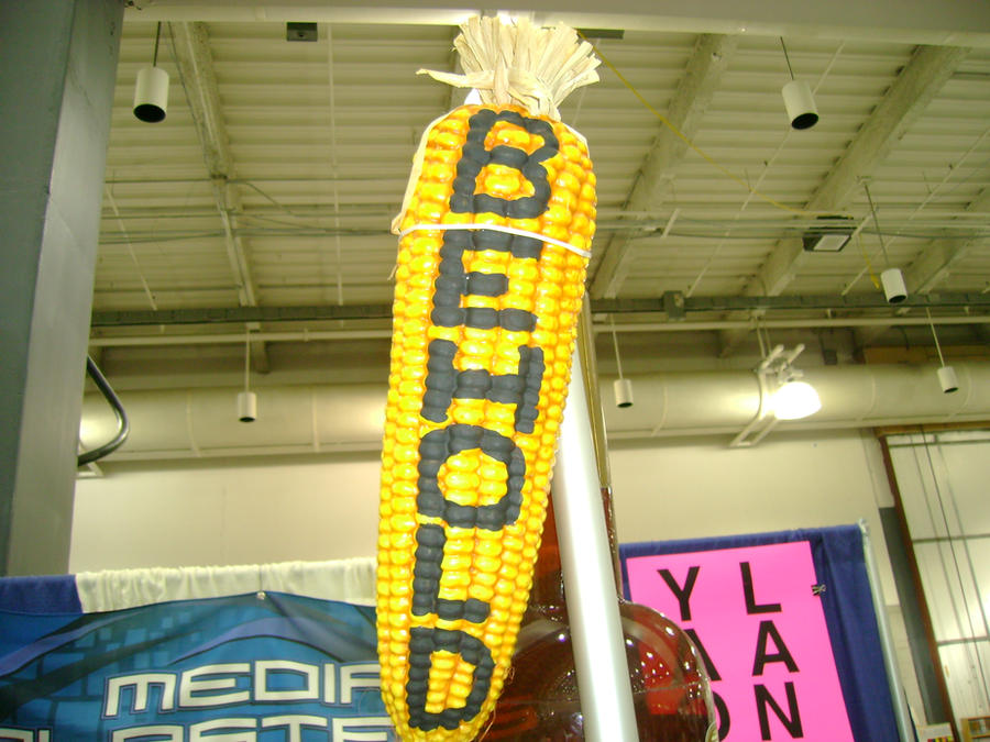 Behold Script BEHOLD by DaftBrian on DeviantArt