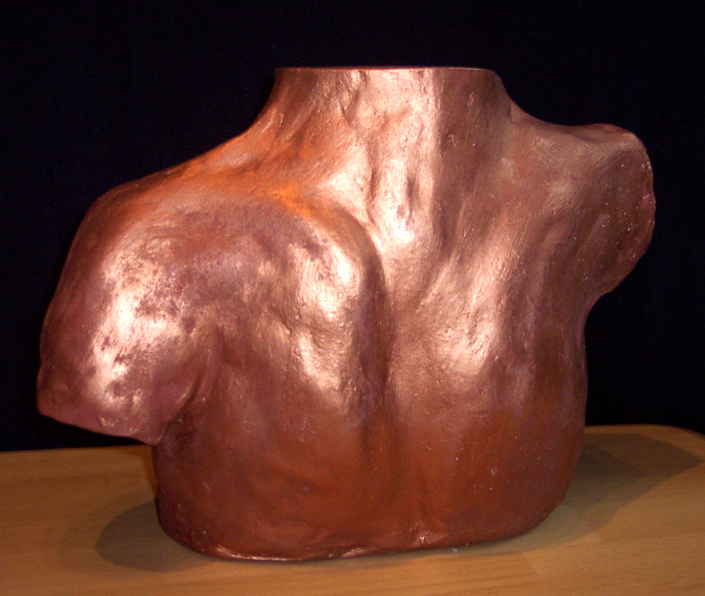 Torso half dorsal