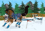 Blackwater Fantasy Skijoring - Snowshoe