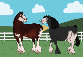 Banshee x Hermes Breeding