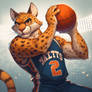 Basketball wildcat