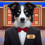 Game show border collie: #4 (Host)