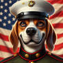 Marine Corps beagle: #3