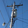 Utility Pole 2