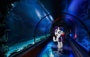 Rarity Underwater Passage Las Vegas