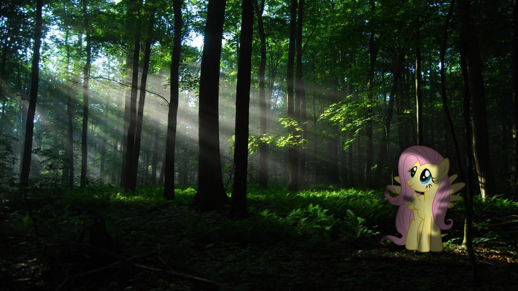 Fluttershy Morning Walk Through The Forest