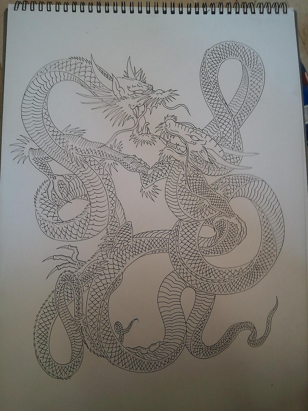Dragon Structure Dragons (structure) by BloodlessSnow on DeviantArt