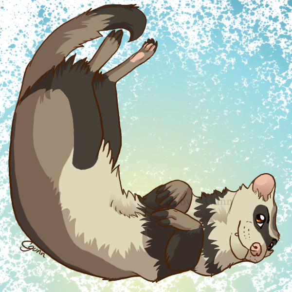 Stinky Ferret