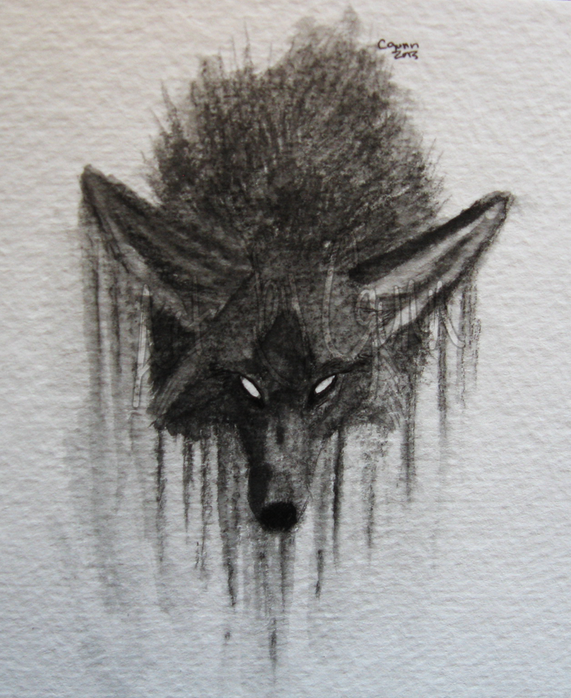 Dark Coyote