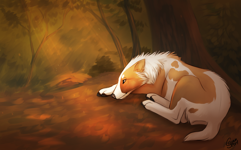 Sleepy Forest