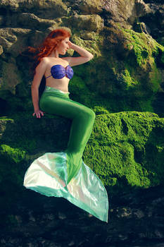 The Little mermaid - Ariel I