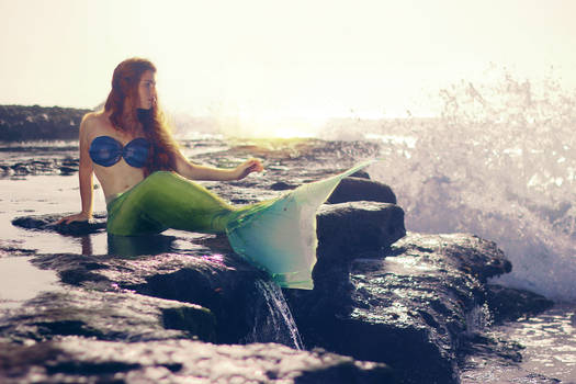 The Little mermaid - Ariel II