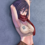 Mikasa (NSFW for Patrons)