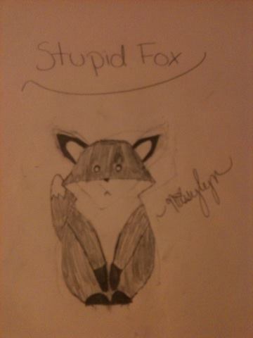 Stupid Fox