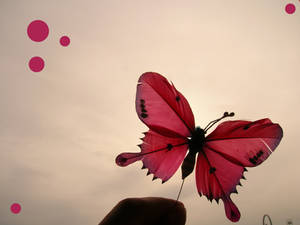 Red Butterfly