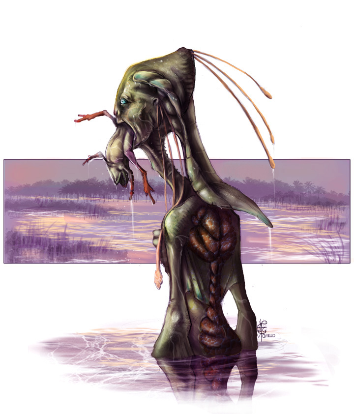 Swamp Nymph