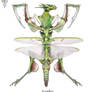 Scyther