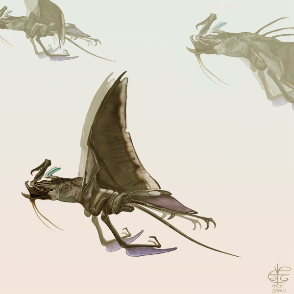 Prawn Animation Aerial Prawn (animation) by Vincent-Covielloart on DeviantArt