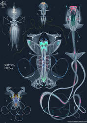 Deep sea fauna