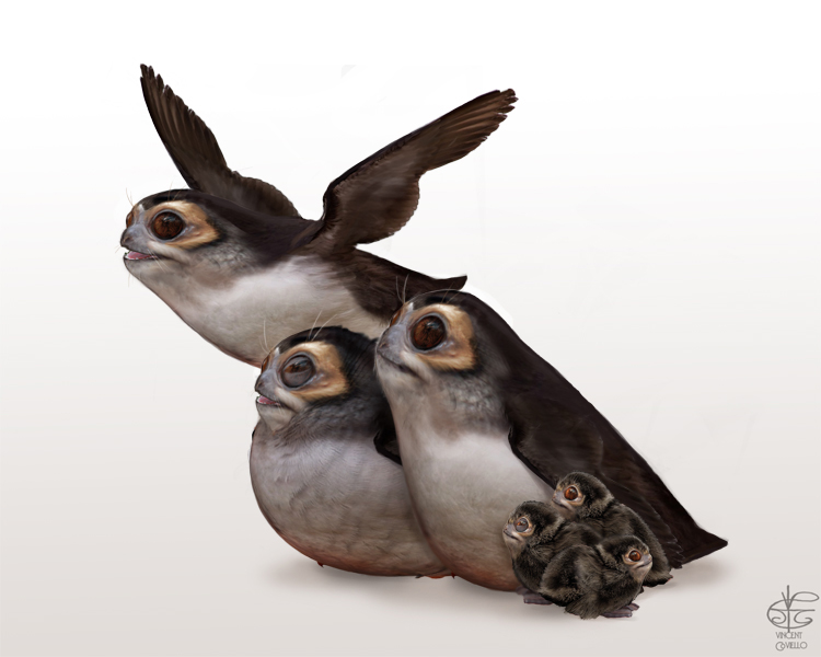 Porglets Porgs by Vincent-Covielloart on DeviantArt