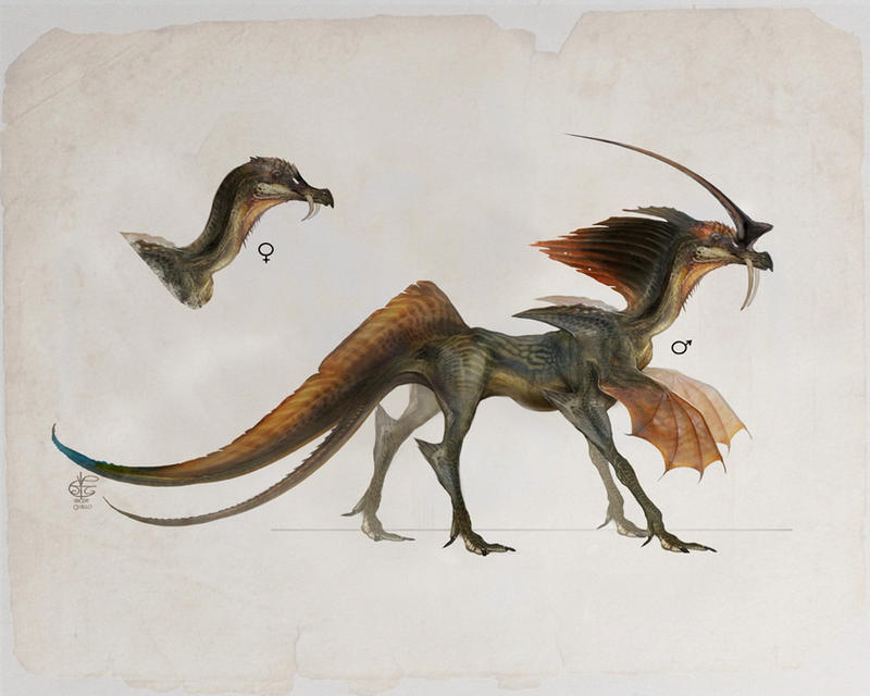 Lesser Earth Drake Smaugust : Lesser Plains Drake by Vincent-Covielloart on DeviantArt