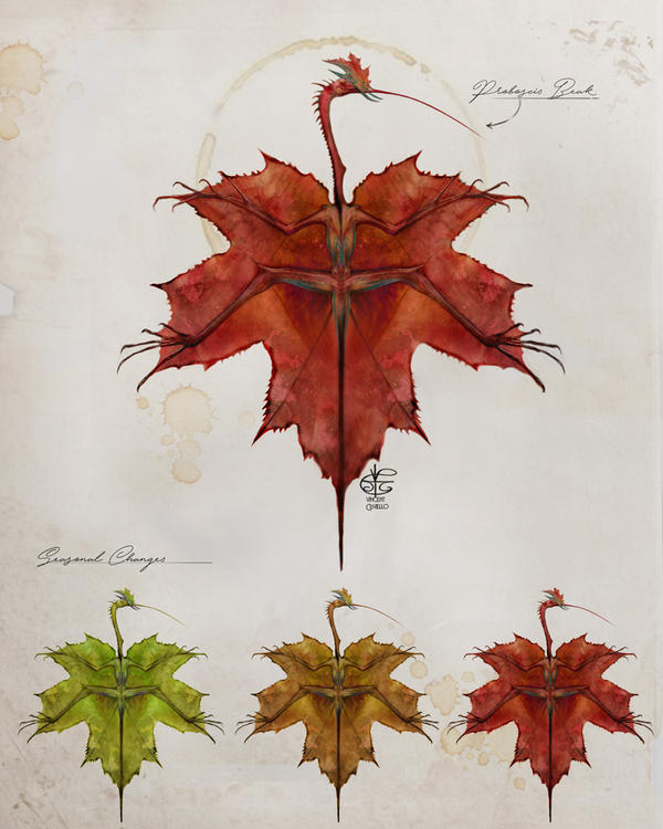 Smaugust 2: Maple Leaf Drake by Vincent-Covielloart on DeviantArt
