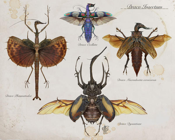 Insect Dragons by Vincent-Covielloart on DeviantArt