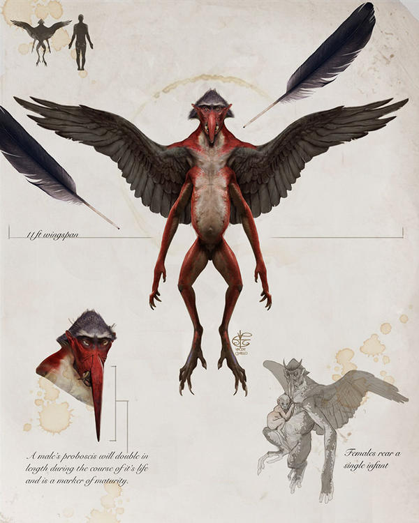 Human Tengu Tengu by Vincent-Covielloart on DeviantArt