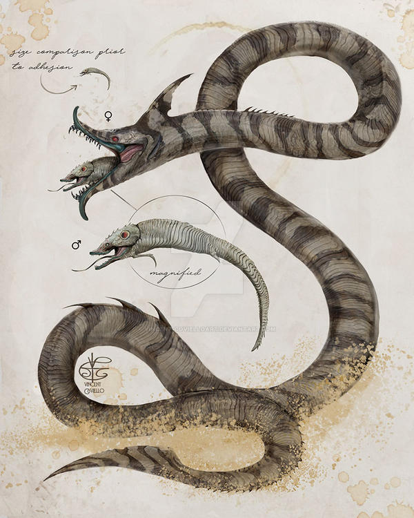 Sandworm Card Sandworm by Vincent-Covielloart on DeviantArt
