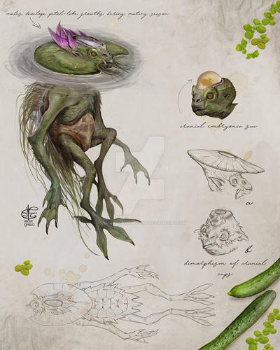 Kappa Deviantart Kappa by Vincent-Covielloart on DeviantArt