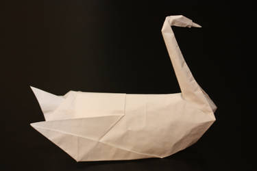 Swan