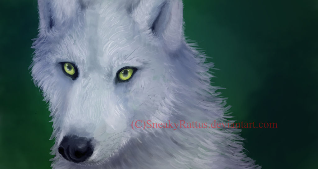 The White Wolf by Septimosis on DeviantArt
