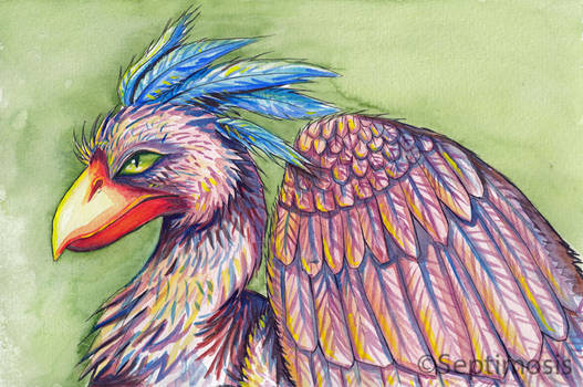 Watercolour Bird [TIME LAPSE LINK IN DESCRIPTION]