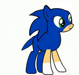 Sonic the hedgehog Pony
