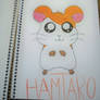 Hamtaro